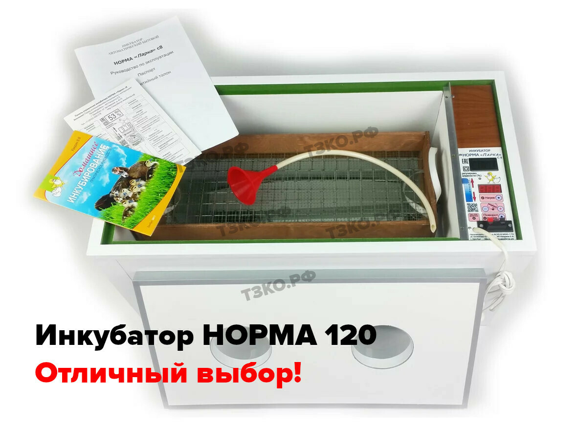 Бизнес-план для небольшой птицефермы на 30 – 100 кур-несушек